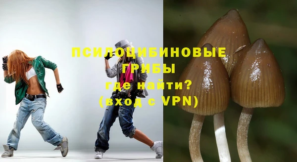 ALPHA PVP Аркадак