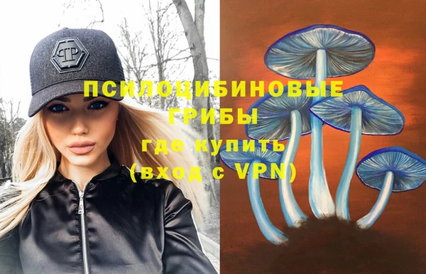 мдпв Нязепетровск