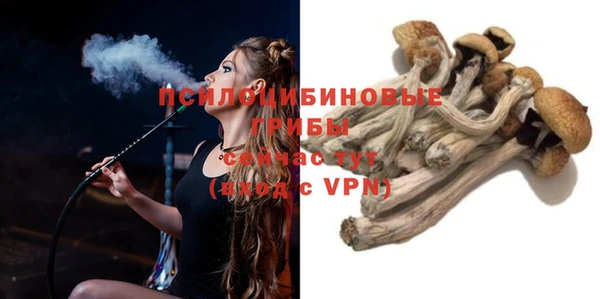 стафф Дрезна
