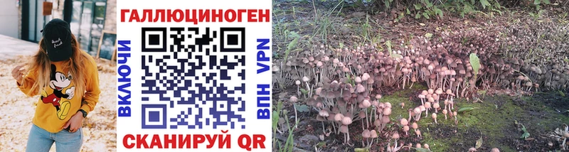 Галлюциногенные грибы мухоморы Удомля
